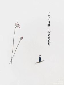 心静如水100幅图片_心静如水100幅高清美图，助你放松冥想，适合办公桌或卧室装饰