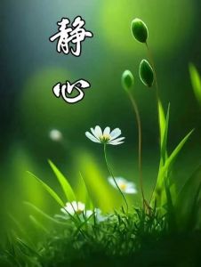 心静图片配图_100张静心美图，瞬间放松心情！