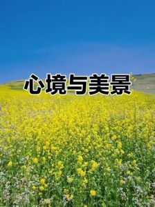 让人心情开阔的图片_好心情图片，点亮生活！