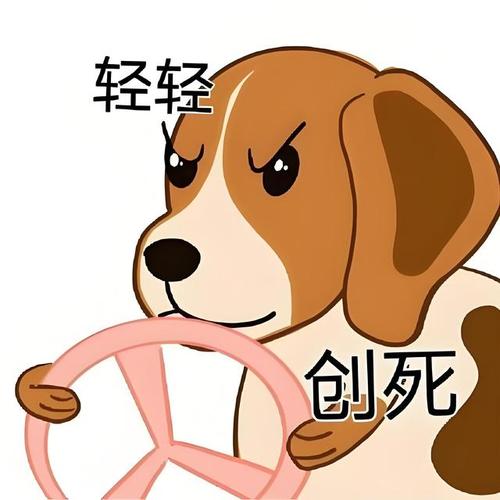 追车的图片搞笑_搞笑追车照太逗了！发朋友圈逗朋友，但开车一定小心！