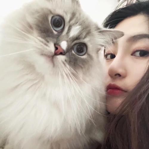 女人和猫唯美图片_美女与猫咪温馨合照，治愈系屏保墙，快来分享你的喵星人故事！