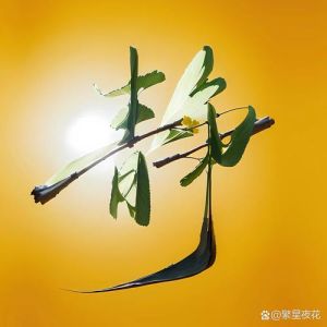淡然图片大全带字_朋友圈头像超脱感必备