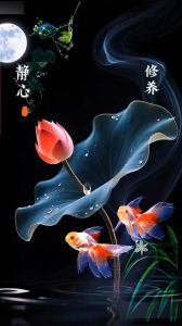 修心静心十大美图_冥想瑜伽最佳背景，你最喜欢哪款？