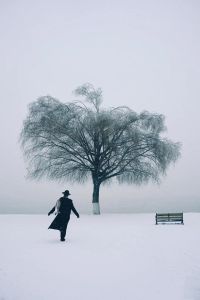 表示孤独唯美图片_一个人读书品茶赏花，享受宁静时刻