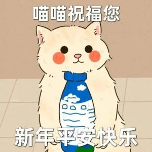 表情包2025_2025超火表情包来袭，可爱动感，聊天必备！你爱哪种？快来分享！