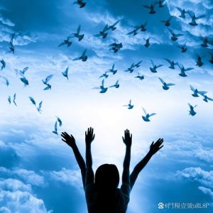 放空自己配图_压力大看高清风景图瞬间平静，你的放松神器是什么？