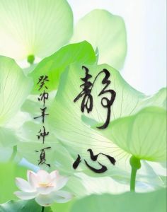 心静字图片大全_适合手机电脑背景，简约线条或自然风景？你pick哪种？