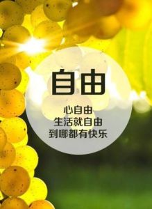 简单自由随意的图片_博客社交平台必备，简约大方显个性！