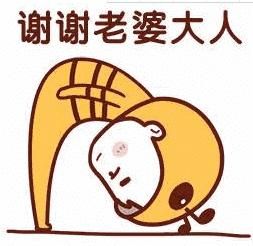 感谢老婆大人表情包_感谢老婆大人可爱表情包，家庭群必备，让爱更有趣！