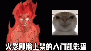 火影忍者凯斗图表情包_火影凯表情包，聊天必备，超搞笑！
