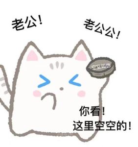 跟老婆要钱专用表情包_搞笑互动，让家更温馨