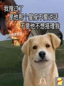 狗都不谈恋爱表情包_寂寞不想恋爱？用狗都不谈恋爱表情包自嘲！