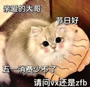 抖音最火跟老公要钱表情包_抖音搞笑表情包，老婆向老公要钱太逗了！