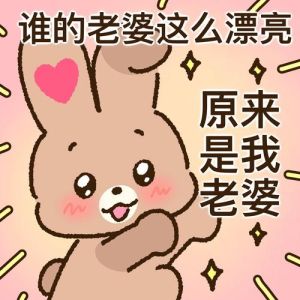 老婆第一表情包_搞笑温馨夫妻日常，微信QQ聊天必备