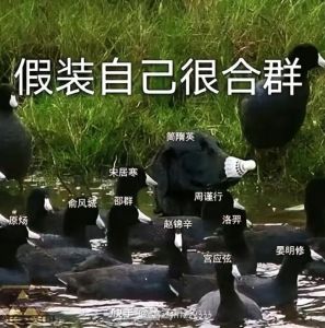 188男团沙雕图片_188男团搞笑表情包，高清沙雕图，刷朋友圈必备！