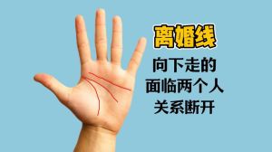 爱情失望线图片_爱情失望线穿过生命线？感情遇冷？