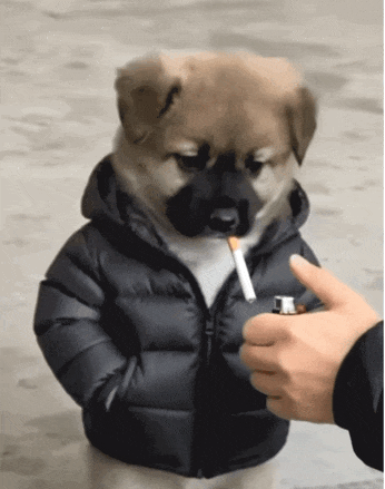 搞笑抽烟动态表情gif_搞笑抽烟GIF表情包，发朋友圈解压，一起乐呵乐呵！