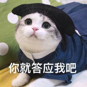 渴望爱情表情包_又爱又怕的恋爱心情
