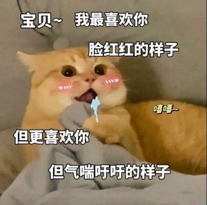 情侣斗图专用表情包_情侣聊天必备！搞笑表情包，让对话更有趣！