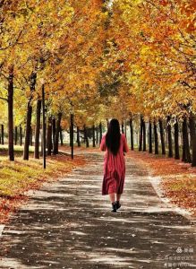 独立女人背影唯美图片_美女背影彰显独立自信，女性力量海报必备，分享你的看海经历！